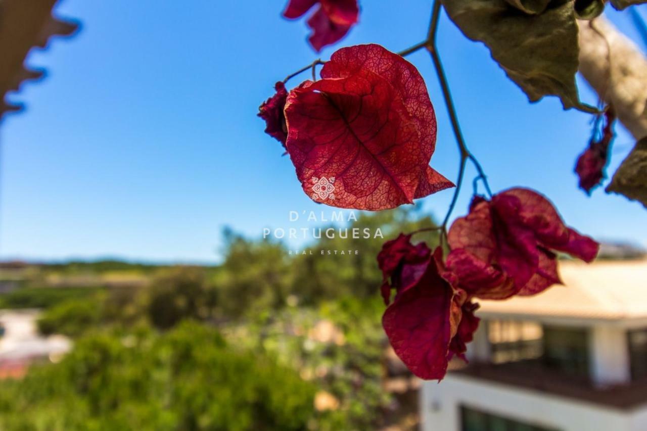 D'Alma Falesia Beach Apartment - By Dalma Portuguesa Albufeira Zewnętrze zdjęcie